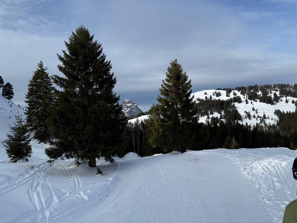 Grosser Mythen (1898 m) taucht vor uns auf!