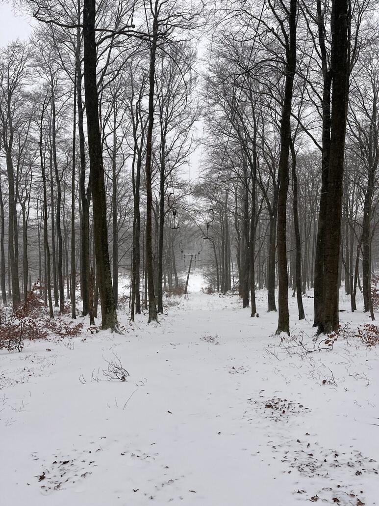 Man sieht das hier lange nicht mehr gefahren wurde.