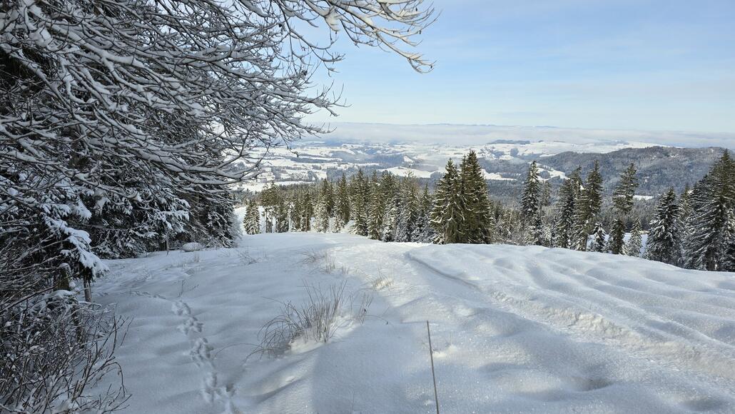 Ebenfalls geeignet für einen kurzen Halt ist die blaue Talabfahrt am Skilift Rüschegg mit wunderbarem Blick zum Seenland und nördlichen Jura.