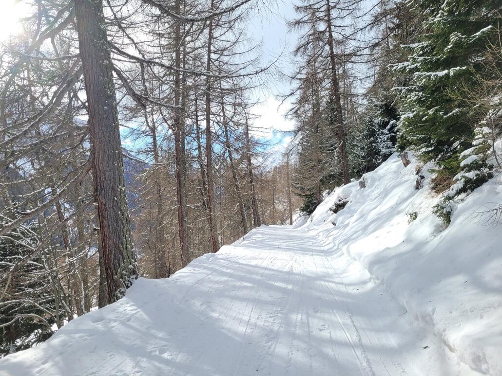 Schön gelegen ist die Abfahrt ja