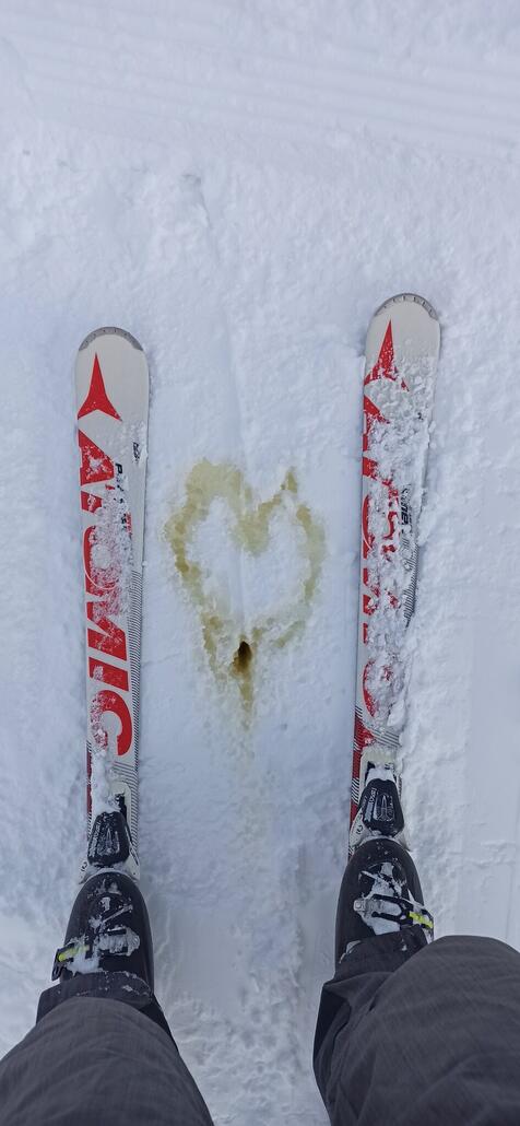 Gibt es eine schönere Liebeserklärung?