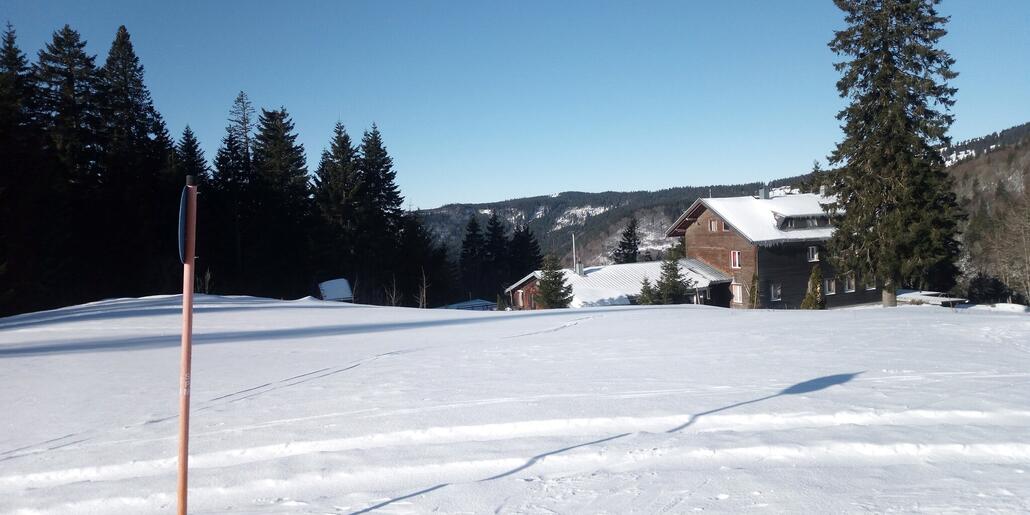 Sieht wie Winter aus