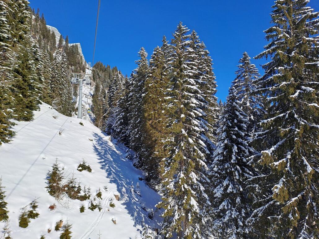 Die Bahn führt im oberen Teil steil trassiert durch den verschneiten Wald.