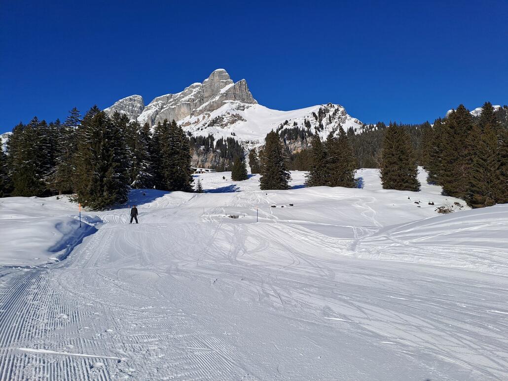 Allgemein sind die Pisten in Braunwald sehr naturbelassen und treffen genau meinen Geschmack.
