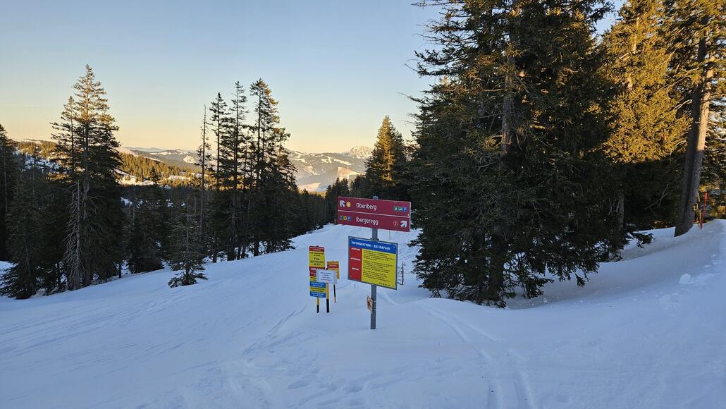Zurück zur Laucheren
