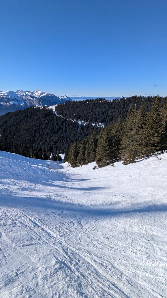 Steilhang unten durch den Wald. Alles super zu fahren bis auf die letzten zu engen 100 Meter, wo einiges an Schnee fehlt. Da wenig los ist kann man jedoch alle Problemstellen umfahren.