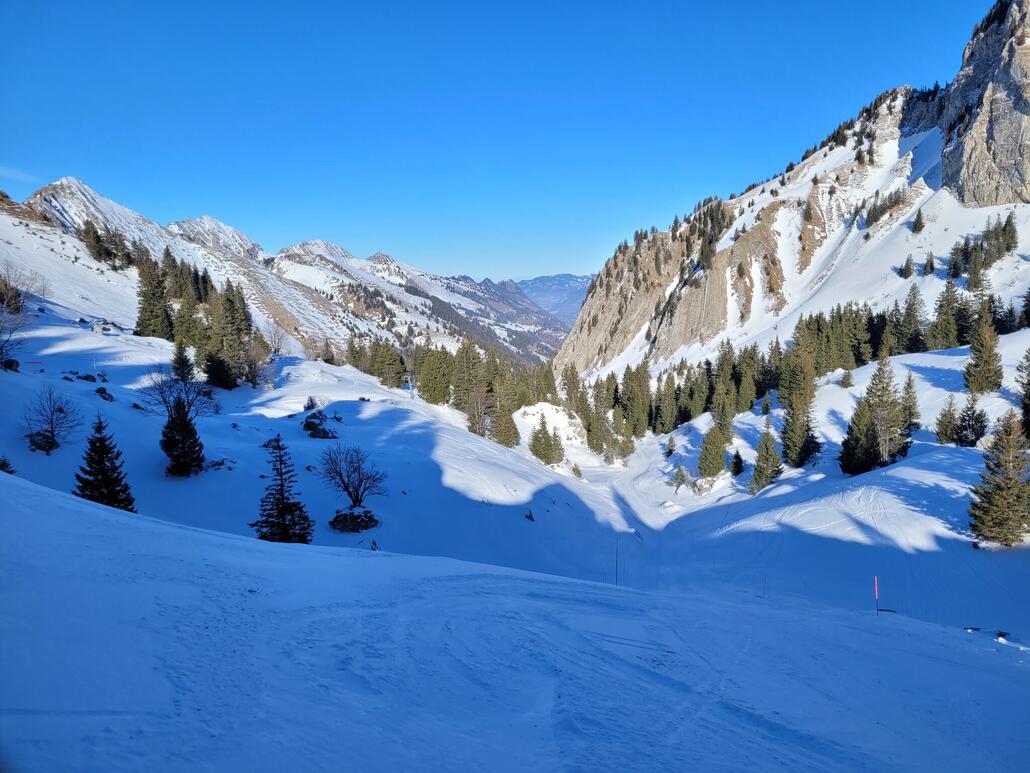 Die Pisten am unteren Schlepplift sind toll trassiert