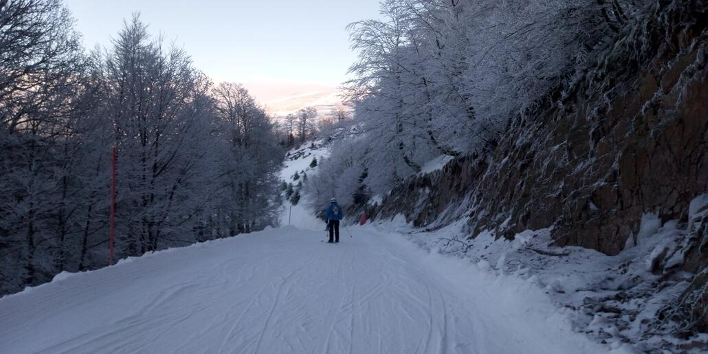 Angenehm sind auch diese Gleitwege durch den Wald.