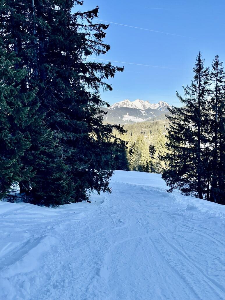 Verlauf aussenrum Piste
