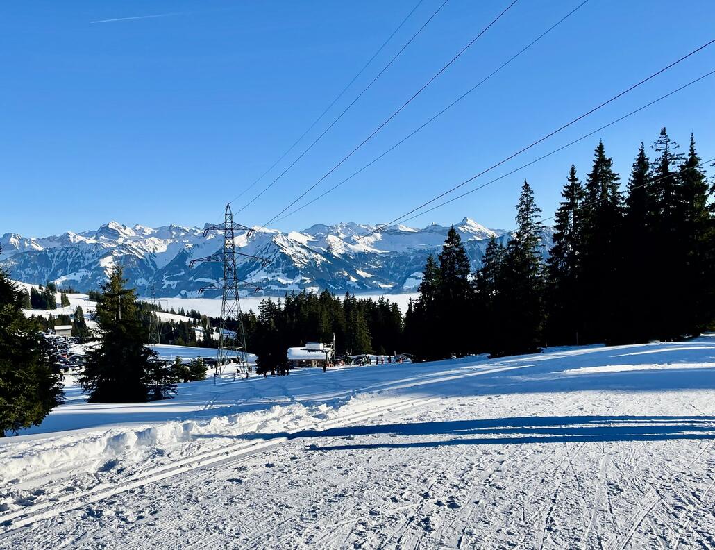 Weiter unten angrenzend an die Loipe