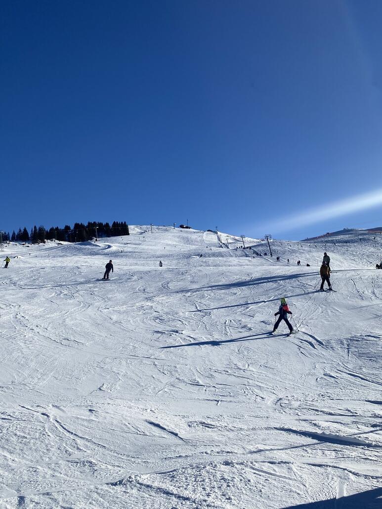 Blaue12 von unten gesehen