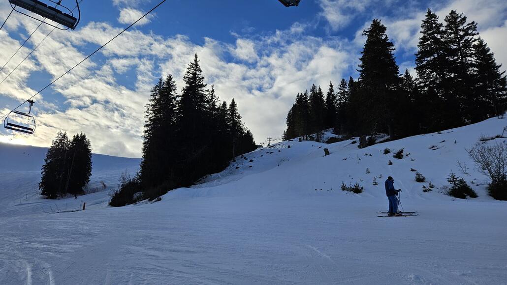 Schneise richtung Bergstation Jardin
