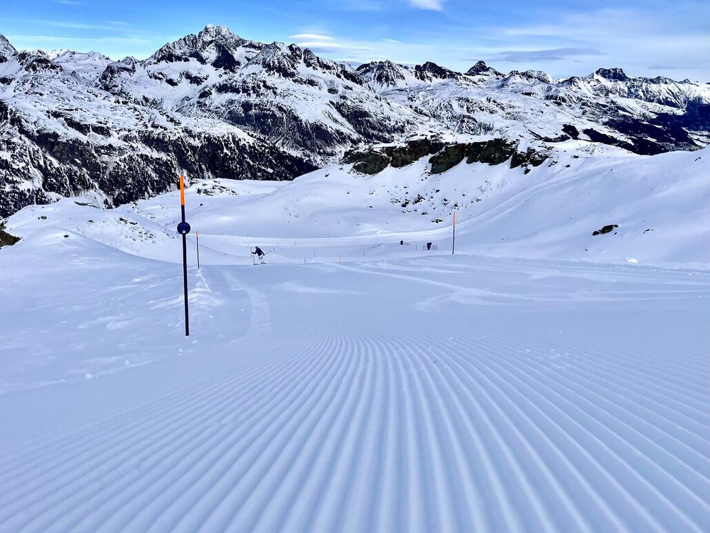 Grösstenteils schön präpariert