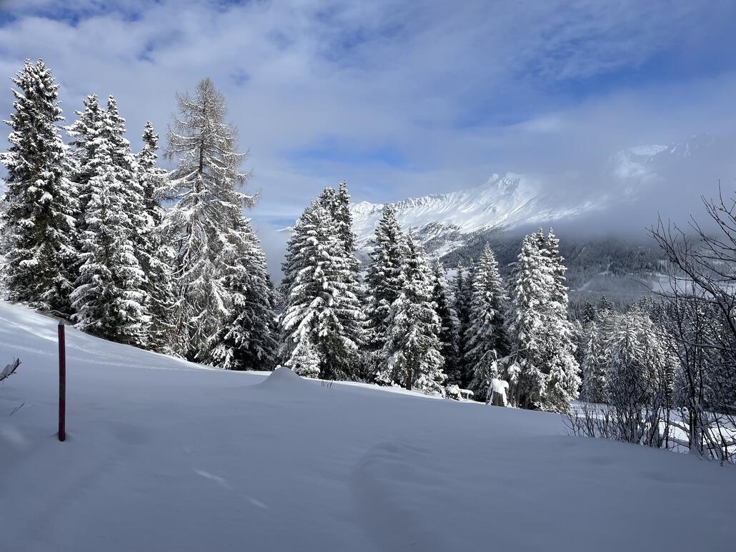 Die "First Line" in den Wanderweg zu legen, hat aber auch seinen Reiz.