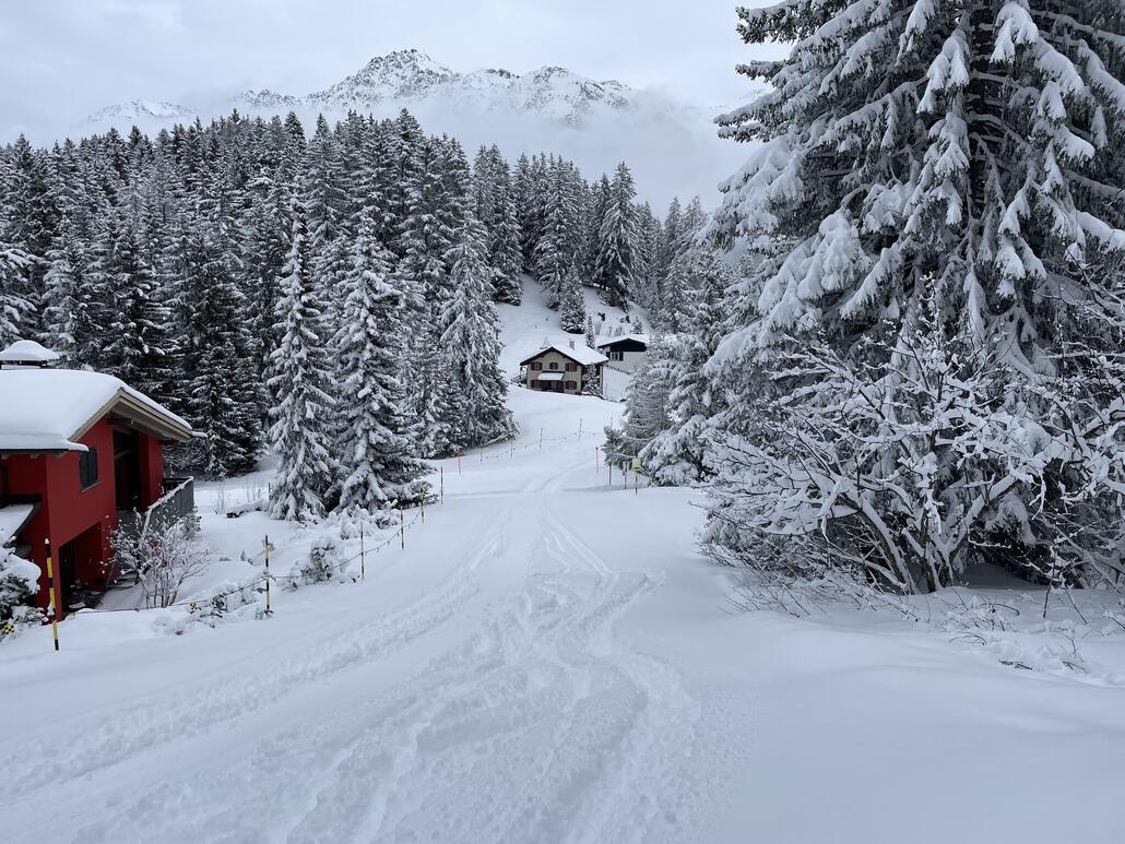 Die 46 kann hoffentlich bald wieder präpariert werden.