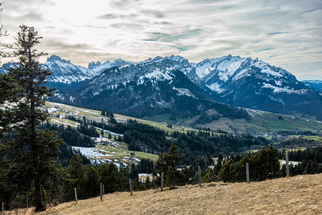 Kamor 082-1_ergebnis.jpg