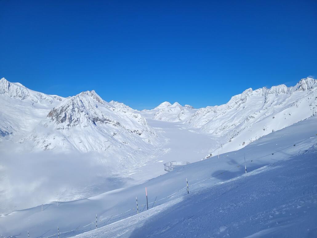 Aletsch vom Eggishorn aus.