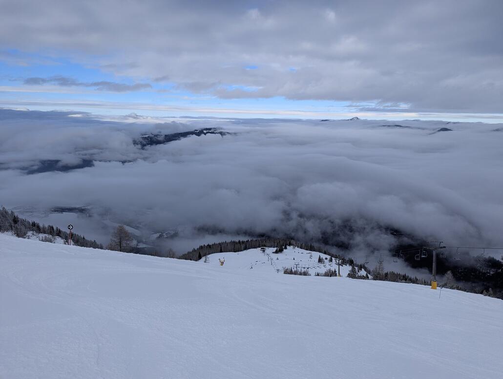 Die Schwarze ist perfekt!