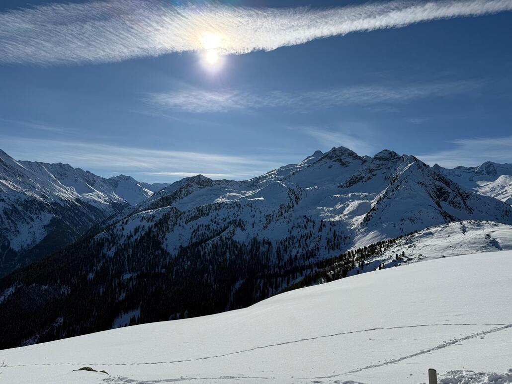 WhatsApp Image 2025-02-03 at 22.02.17 (1).jpeg