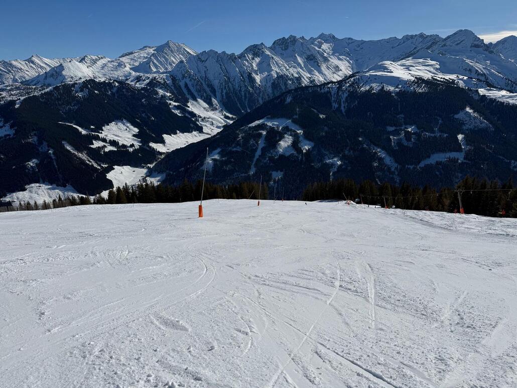 WhatsApp Image 2025-02-03 at 22.33.54.jpeg