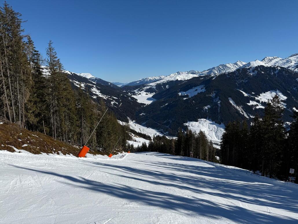 WhatsApp Image 2025-02-03 at 22.34.11.jpeg