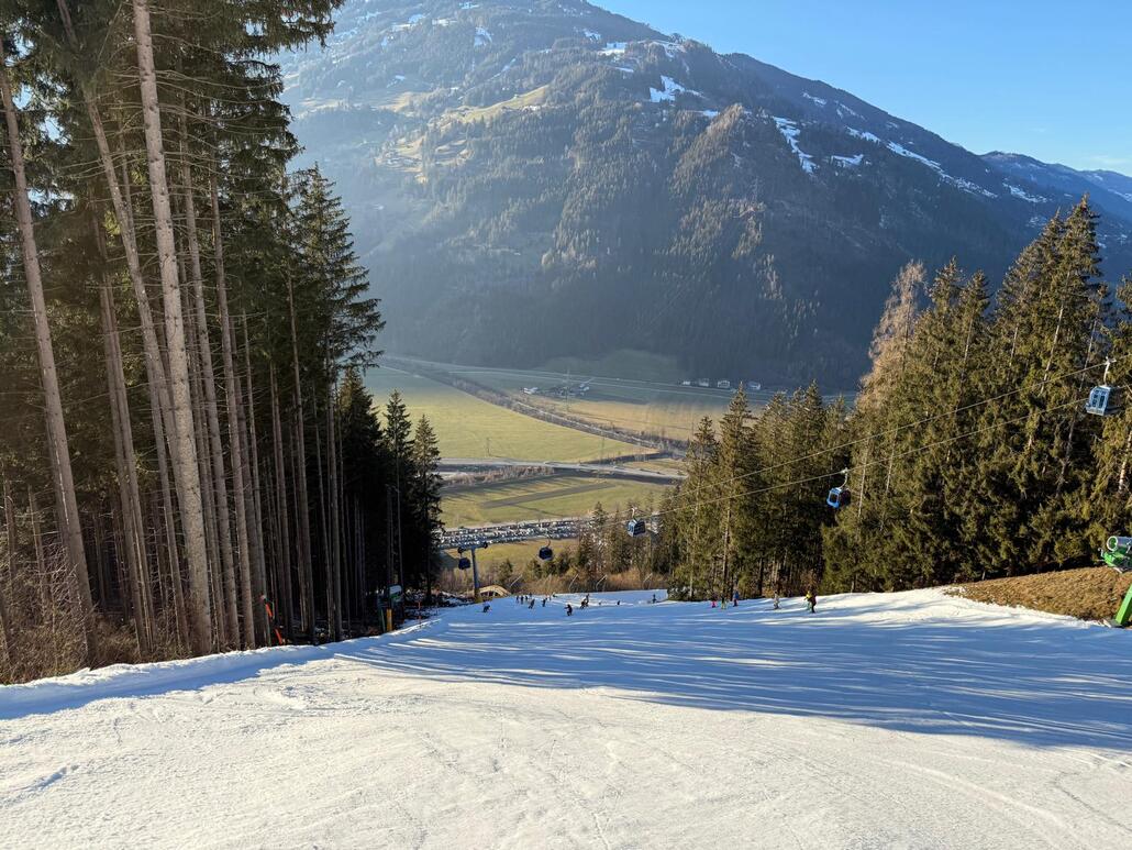 WhatsApp Image 2025-02-03 at 23.06.26 (2).jpeg