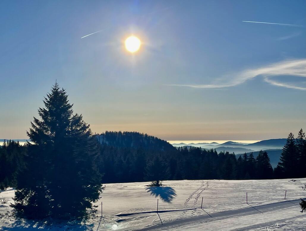Schöne Abendstimmung.