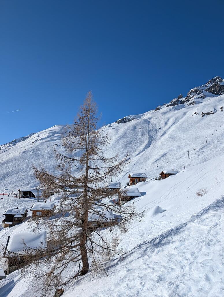 Neue (?) schwarze Piste