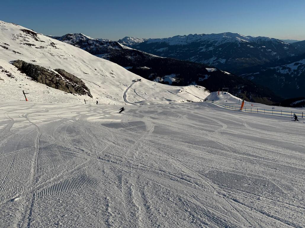 WhatsApp Image 2025-02-05 at 22.08.23.jpeg