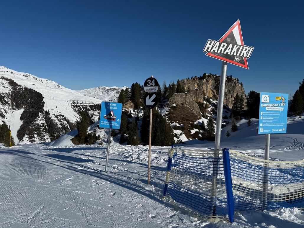 WhatsApp Image 2025-02-05 at 22.22.36.jpeg