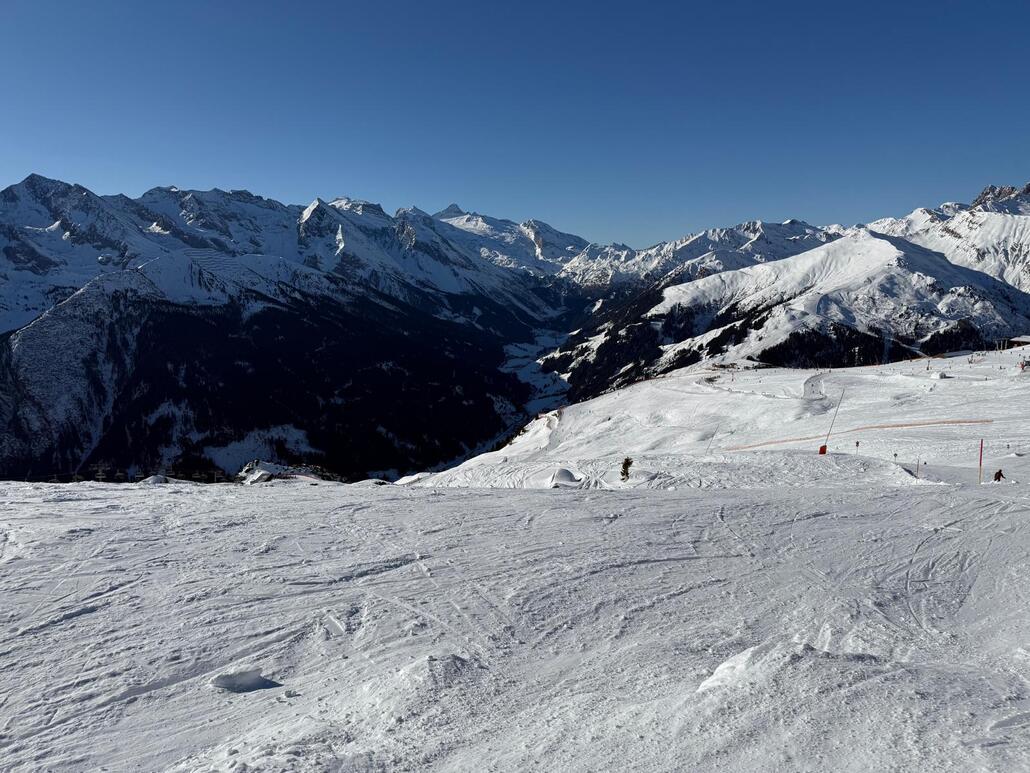 WhatsApp Image 2025-02-05 at 22.38.01.jpeg