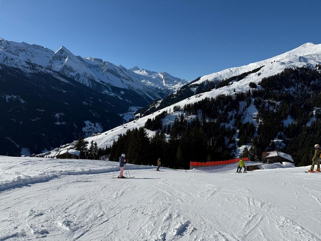 WhatsApp Image 2025-02-05 at 22.38.01 (1).jpeg