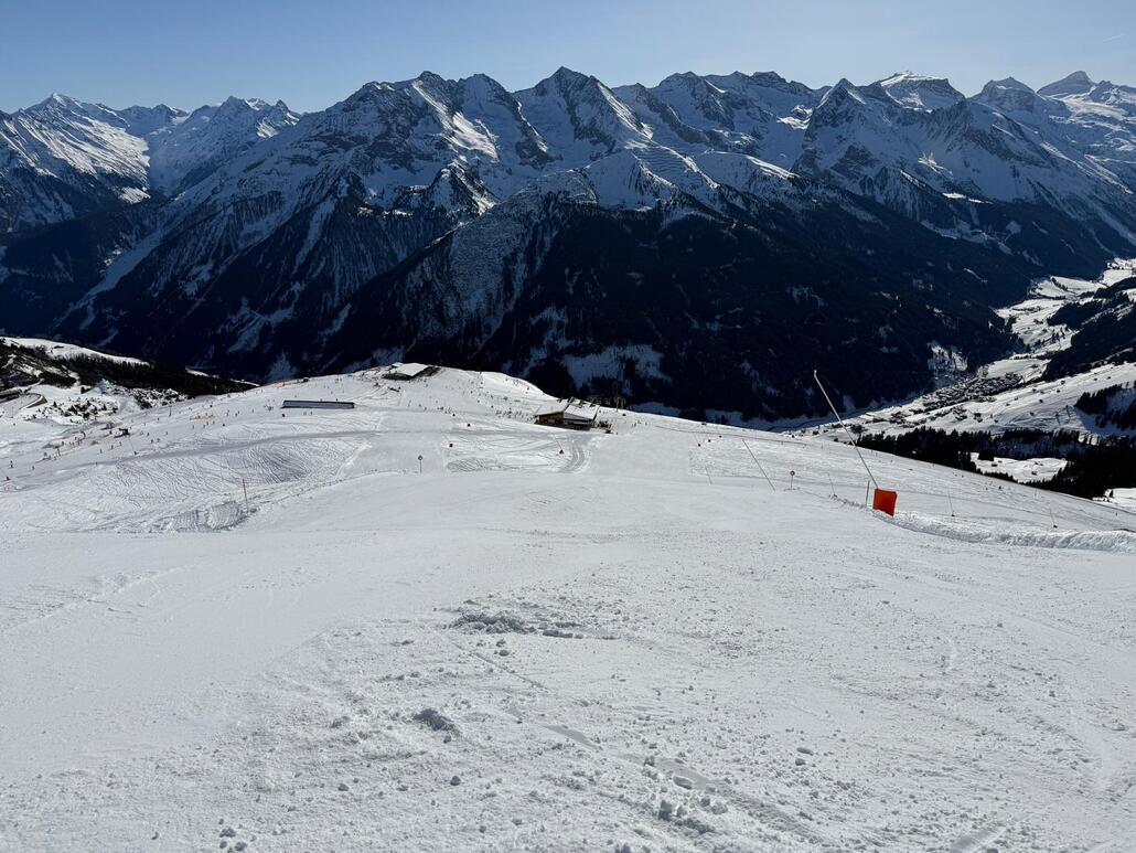 WhatsApp Image 2025-02-05 at 22.47.59 (1).jpeg