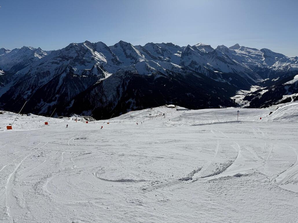 WhatsApp Image 2025-02-05 at 22.47.59 (3).jpeg