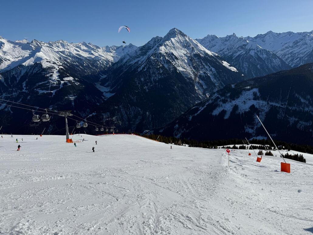 WhatsApp Image 2025-02-05 at 22.55.03 (3).jpeg