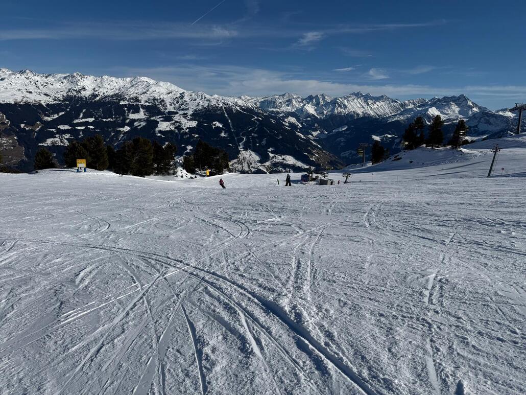 WhatsApp Image 2025-02-06 at 22.55.02.jpeg