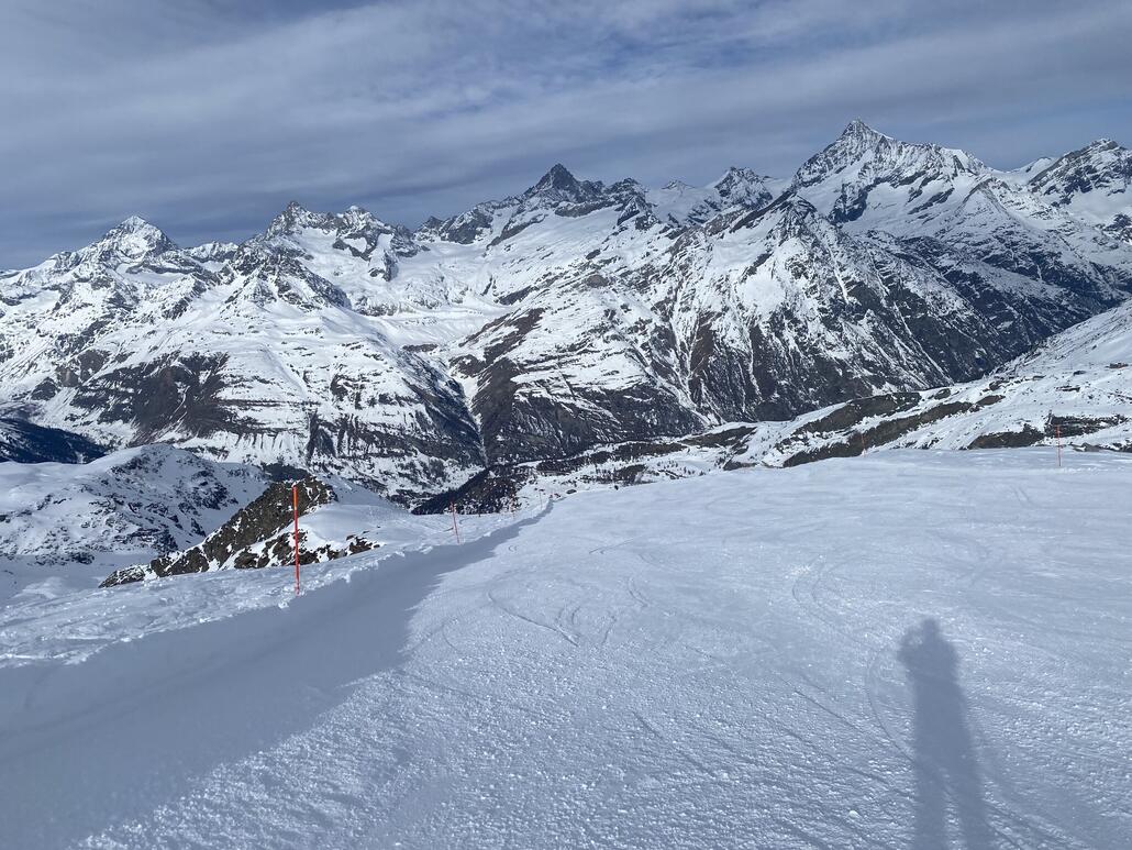 Meine geliebte White Hare