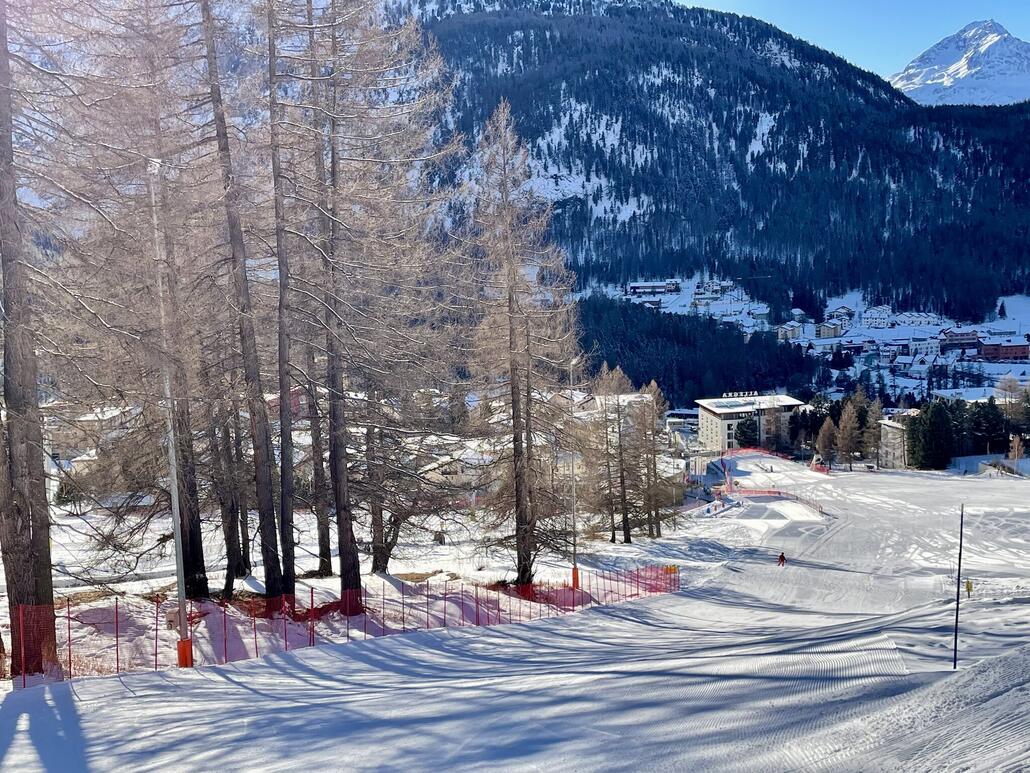 Piste „Languard“ (Steinbock)