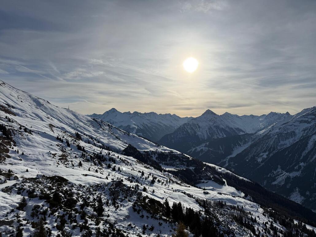 WhatsApp Image 2025-02-07 at 22.38.27 (2).jpeg