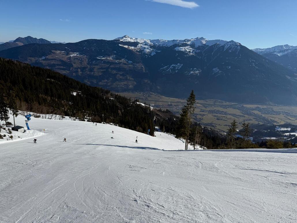 WhatsApp Image 2025-02-09 at 00.12.41.jpeg