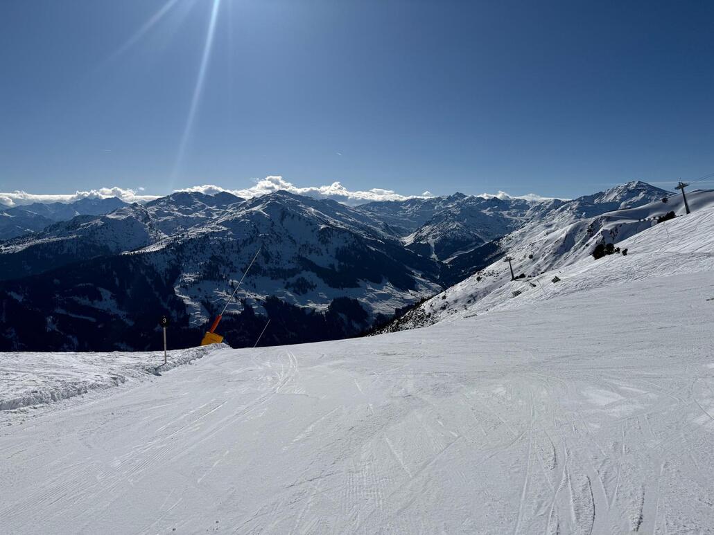 WhatsApp Image 2025-02-09 at 00.35.22.jpeg