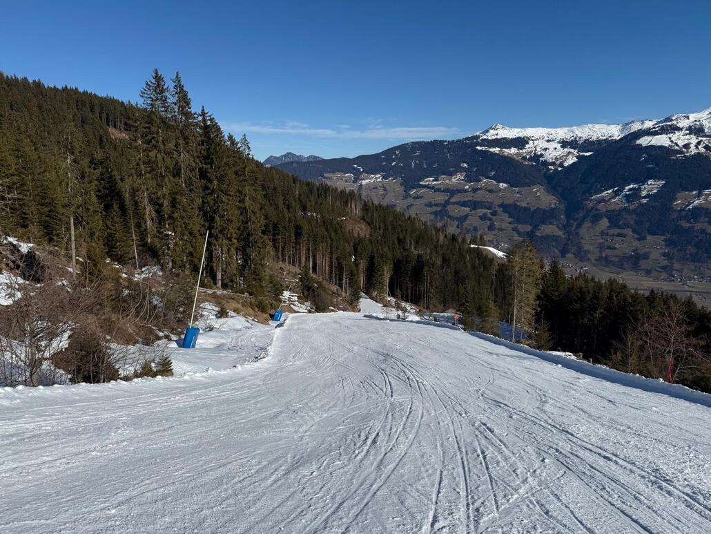 WhatsApp Image 2025-02-09 at 00.41.09.jpeg