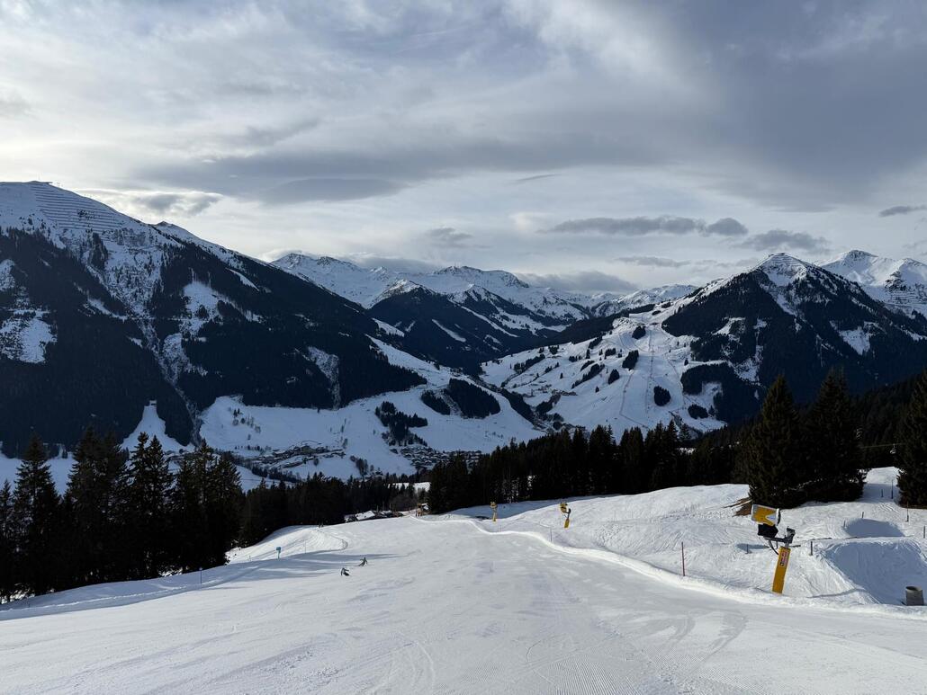 WhatsApp Image 2025-02-10 at 23.16.42 (2).jpeg