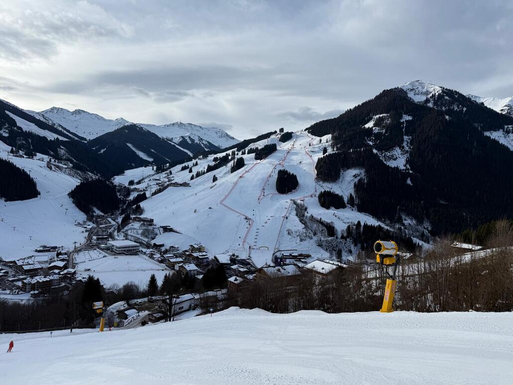 WhatsApp Image 2025-02-10 at 23.16.42 (5).jpeg