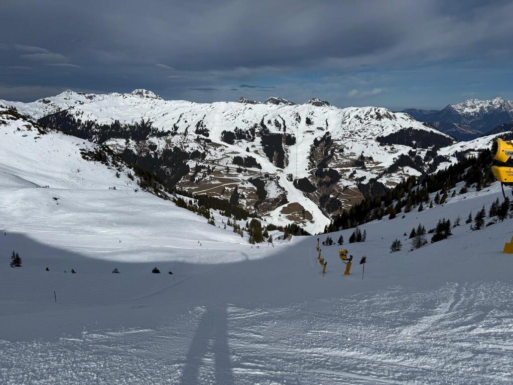 WhatsApp Image 2025-02-10 at 23.34.56.jpeg