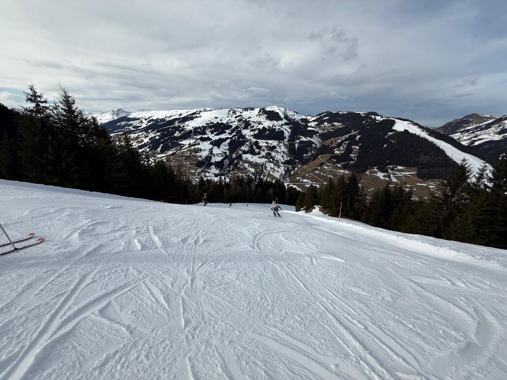 WhatsApp Image 2025-02-10 at 23.47.28 (3).jpeg