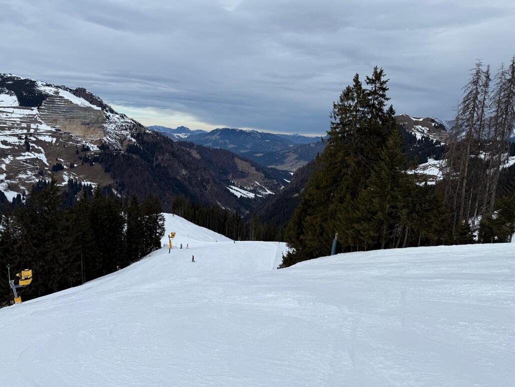 WhatsApp Image 2025-02-10 at 23.59.24 (2).jpeg