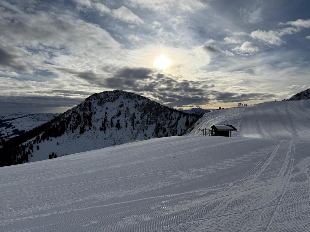 WhatsApp Image 2025-02-12 at 00.50.21.jpeg