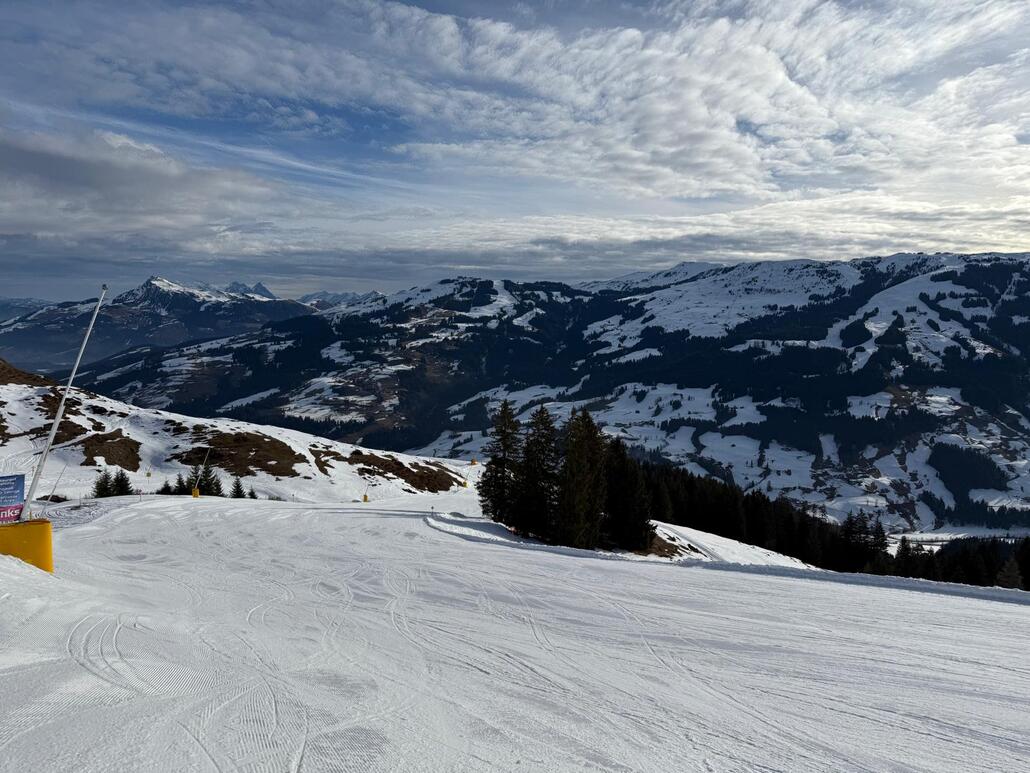 WhatsApp Image 2025-02-12 at 00.50.21 (3).jpeg