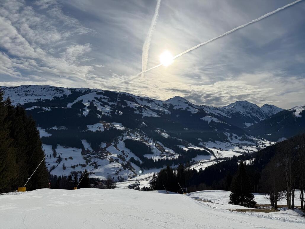 WhatsApp Image 2025-02-12 at 00.50.21 (6).jpeg